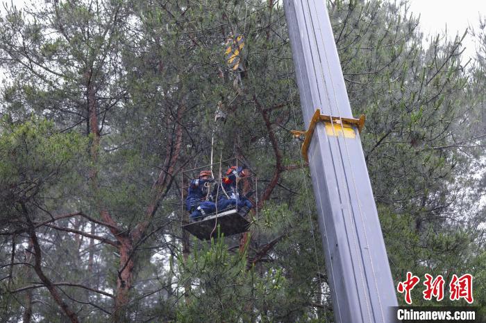 LPL比赛下注福建长汀：森林消防高空作业排险情